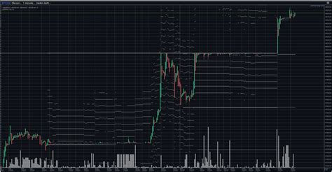 Order Book Dynamics: Understanding