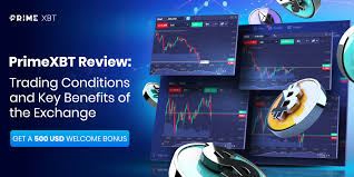 Exploring the Features of PrimeXBT Trading Platform 12 Exploring the Features of PrimeXBT Trading Platform 12