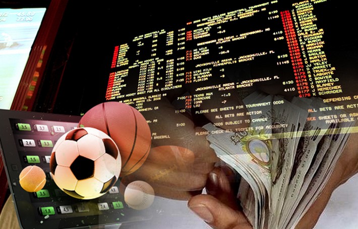 Discover the Exciting World of Betwinner - A Complete Guide