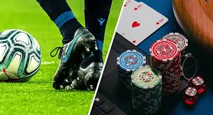 Descubra o Mundo das Apostas com 6655bet 16